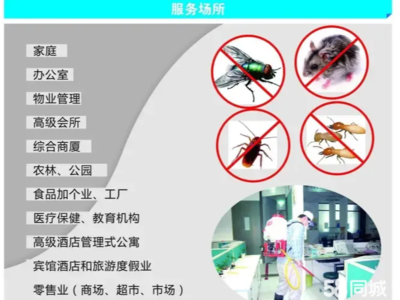 酒店管理的除虫除蚁策略与实施指南